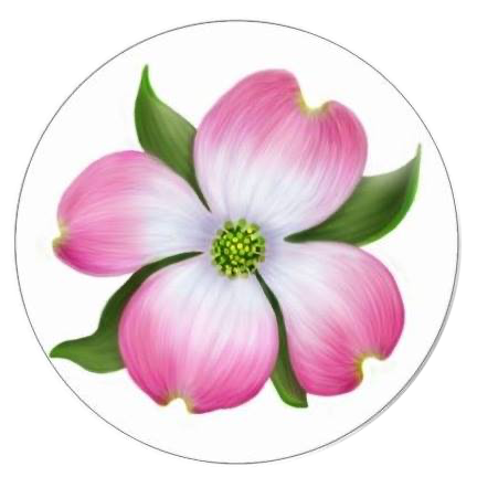 single-dogwood-full